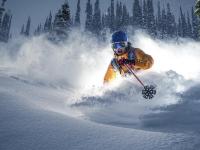 IM电竞官网首页-当英超争冠战遇见掘金式碾压，上海队的一波流启示录