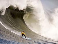 IM电竞注册-克瓦拉茨赫利亚，F1年度争冠之夜，一颗新星如何成为全场焦点